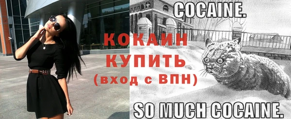 эйфоретик Верея