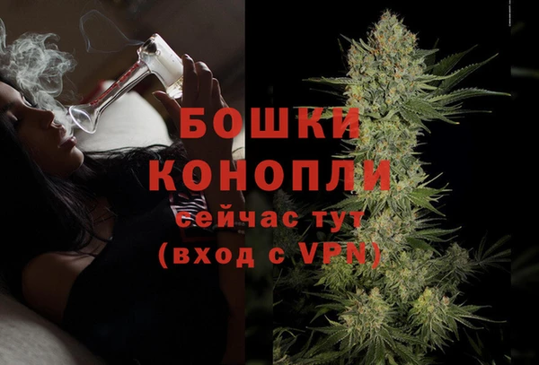 ешки Бородино