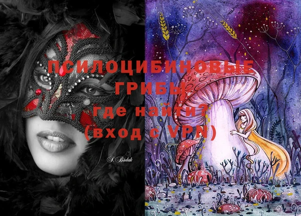 ешки Бородино