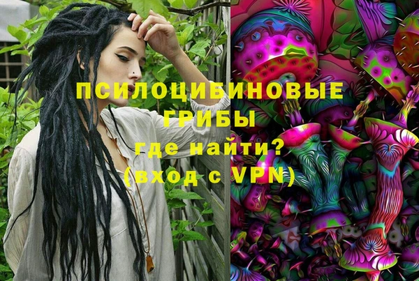 ешки Бородино